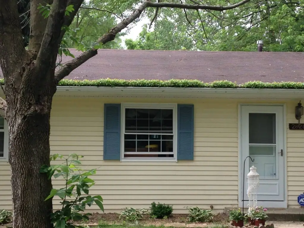 gutters filled with leaves and plants in Lansing MI